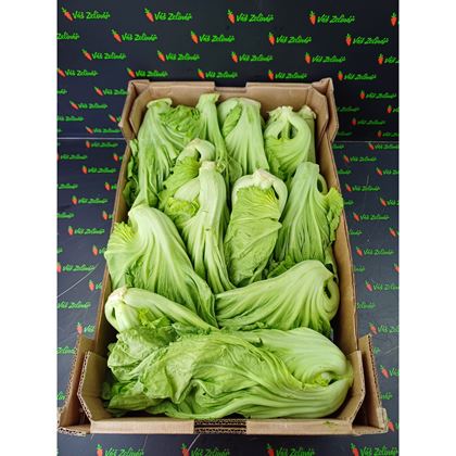 Kai Choi - Čínská hořčice, 6kg