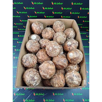 Tarohead, 18kg