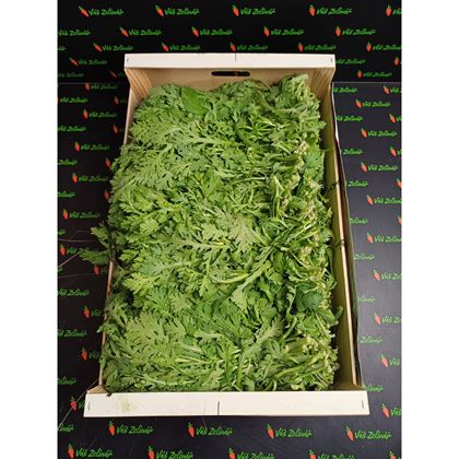 Tong Ho Thin - RAU CAI CUC, 5kg