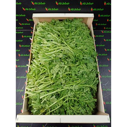 Tong Ho Thin - RAU CAI CUC, 5kg