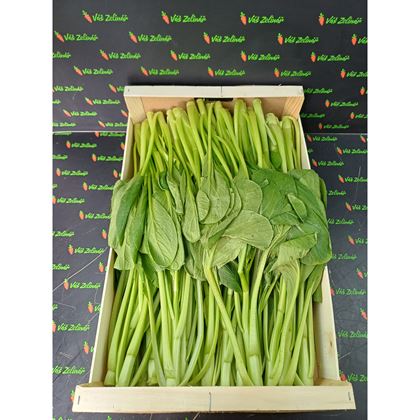 Choi sam " Cai Ngot", 7kg