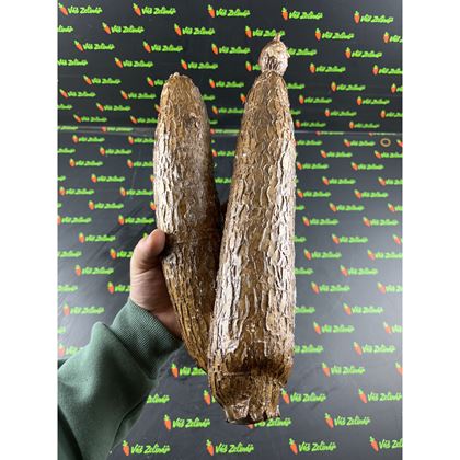 Maniok jedlý - Cassava, 18kg