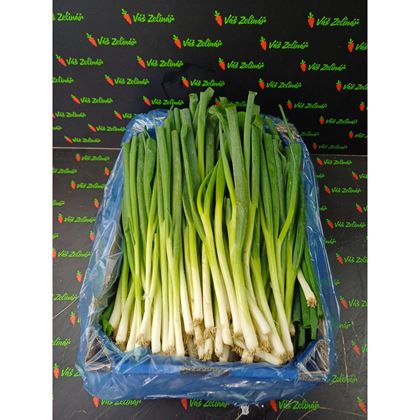 Cibule lahůdková volně, 4kg