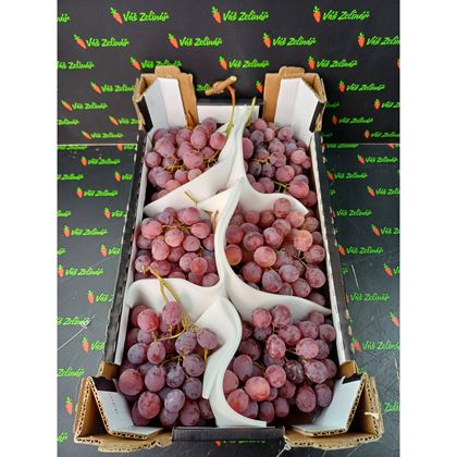 Hrozny Red globe, 7kg