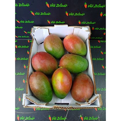 Mango Kent, 7ks (4kg)