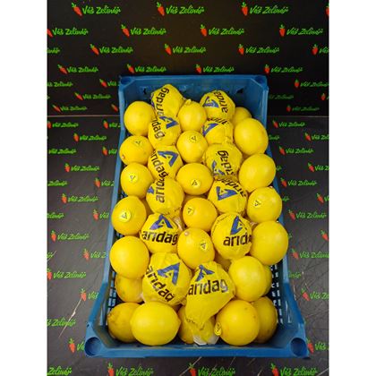 Citron Primofiori, 10kg