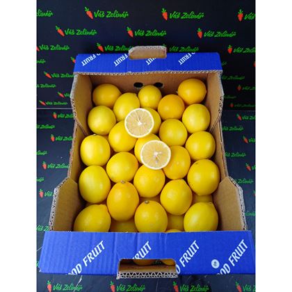 Citron Primofiori, 10kg