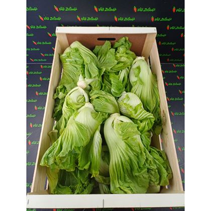 Kai Choi - Čínská hořčice, 8kg