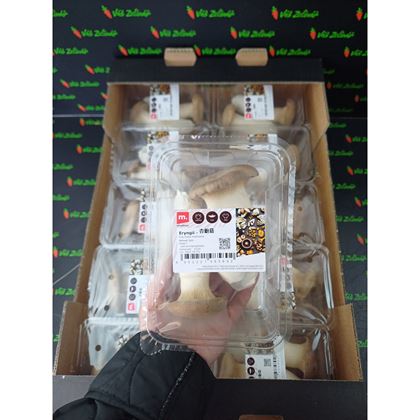 Hlíva Královská - Eryngii 20x2ks