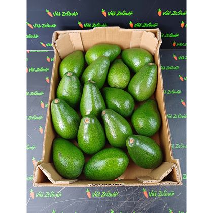 Avocado Fuente 12, cat I.