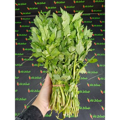 Vodní celer "rau cần" 1ks