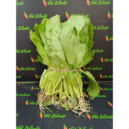 Hořčice čínská "cải canh" 1ks