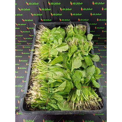 Hořčice čínská "cải canh" 1ks