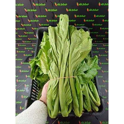 Kai choi "cải muối dưa" 1ks