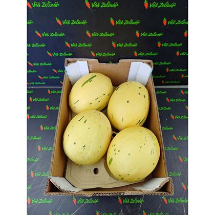 Meloun "DINO" 1ks