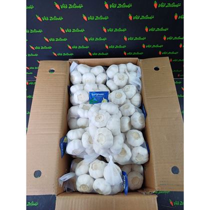 Česnek síť 20x500g