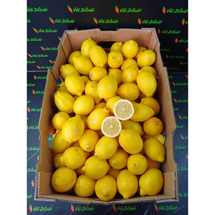 Citron Eureka, 17,2Kg