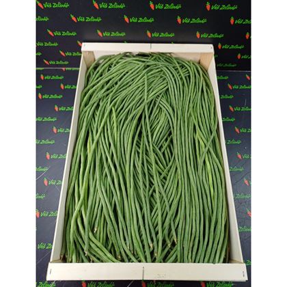 Longbean - Vigna čínská, 6kg