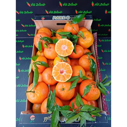 Mandarinky Clemenule listy, 9,5kg