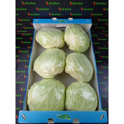 Zelí Ploché, 10kg (6ks)