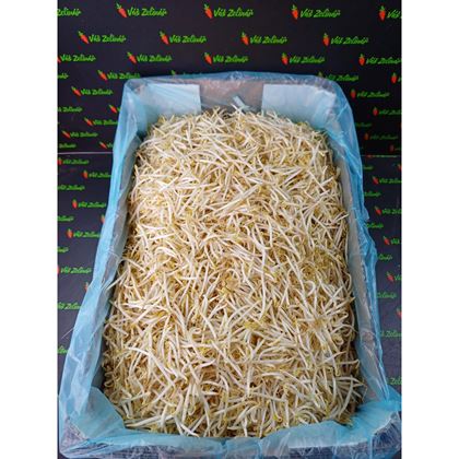 Mungo klíčky, 10kg