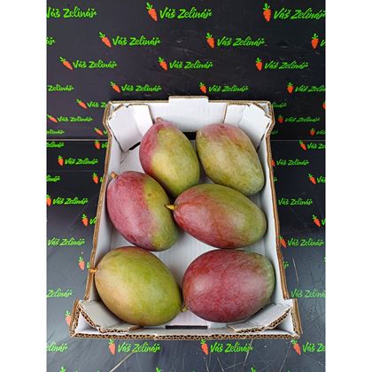 Mango Palmer, 6ks