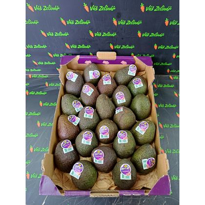 Avocado Zutano, 22 ks