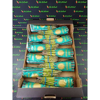 Chřest zelený, 11x450g