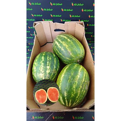 Meloun vodní bezsemenný, 20kg (3ks)