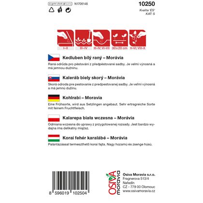 Osiva - Kedluben MORÁVIA, 10ks