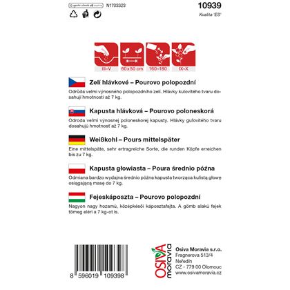 Osiva - Zelí POUROVO POLOPOZDNÍ, 10ks