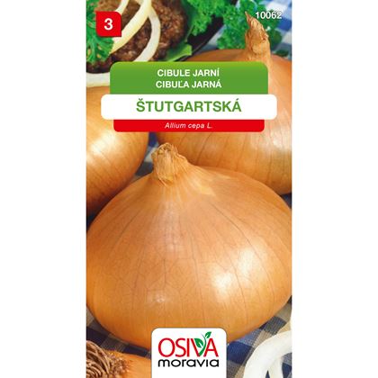 Osiva - Cibule kuchyňská ŠTUTGARTSKÁ, 10ks