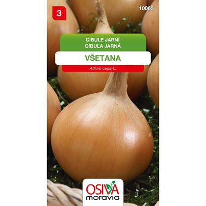 Osiva - Cibule kuchyňská VŠETANA, 10ks