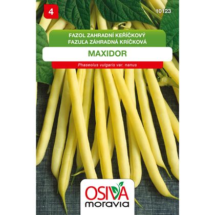 Osiva - Fazol keříčkový MAXIDOR, 10ks