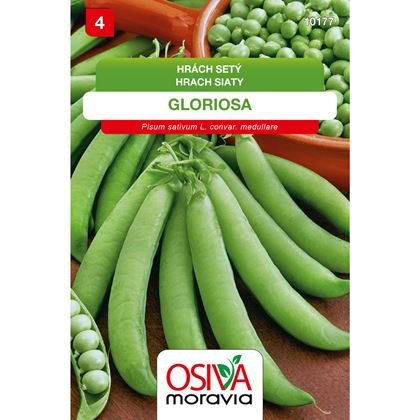 Osiva - Hrách zahradní GLORIOSA, 10ks