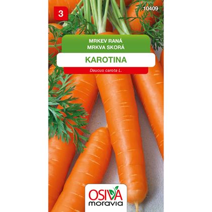 Osiva - Mrkev obecná KAROTINA, 10ks