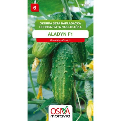 Osiva - Okurka nakládačka ALADYN F1, 10ks