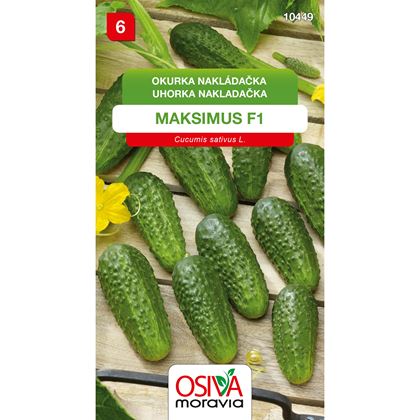 Osiva - Okurka nakládačka MAKSIMUS F1, 10ks