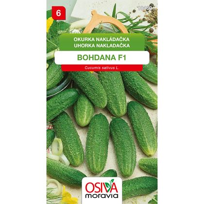 Osiva - Okurka nakládačka BOHDANA F1, 10ks