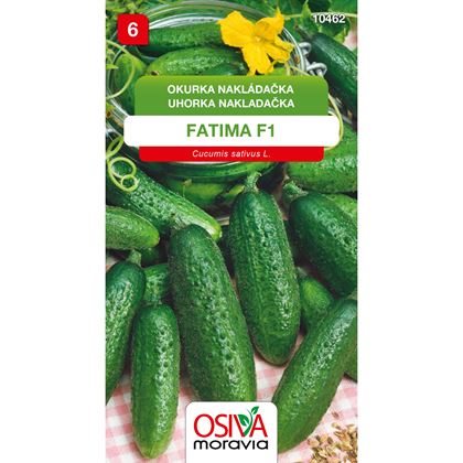 Osiva - Okurka nakládačka FATIMA F1, 10ks