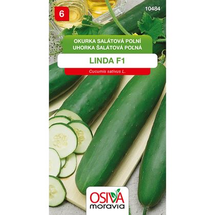 Osiva - Okurka salátová LINDA F1, 10ks
