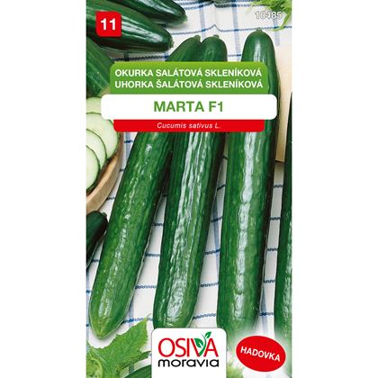 Osiva - Okurka salátová MARTA F1, 10ks