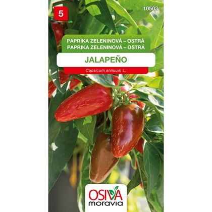 Osiva - Paprika zeleninová - pálivá JALAPEŇO, 10ks
