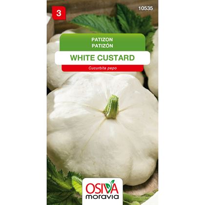 Osiva - Patizon WHITE CUSTARD, 10ks