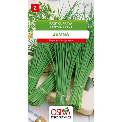 Osiva - Pažitka pravá JEMNÁ, 10ks