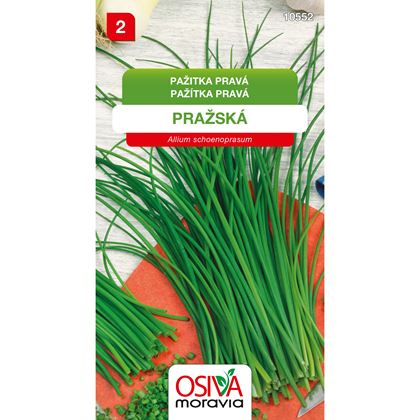 Osiva - Pažitka pravá PRAŽSKÁ, 10ks