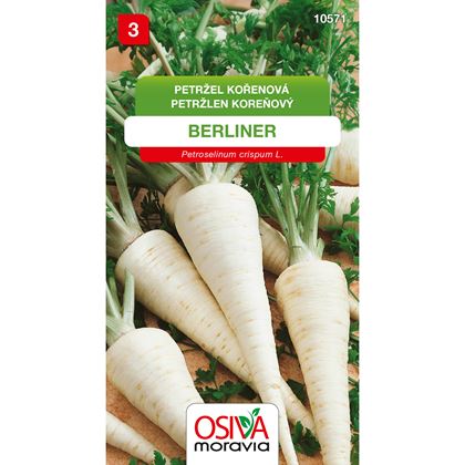 Osiva - Petržel kořenová BERLINER, 10ks