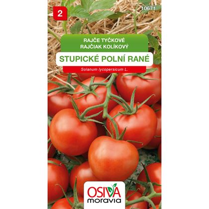 Osiva - Rajče tyčkové STUPICKÉ POLNI RANÉ , 10ks