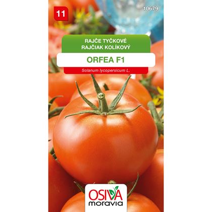 Osiva - Rajče tyčkové ORFEA F1, 10ks