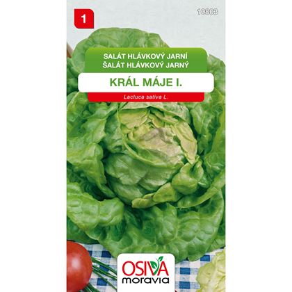 Osiva - Salát hlávkový máslový KRÁL MÁJE I, 10ks